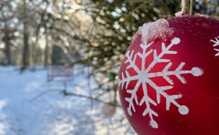 Weihnachtsurlaub im Familienferienpark Dambeck für die ganze Familie