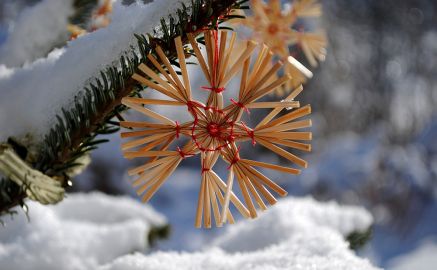 adventszeit-mit-der-awo-sano-im-ferienzentrum-schwerin-fuer-die-ganze-familie-am-schweriner-see