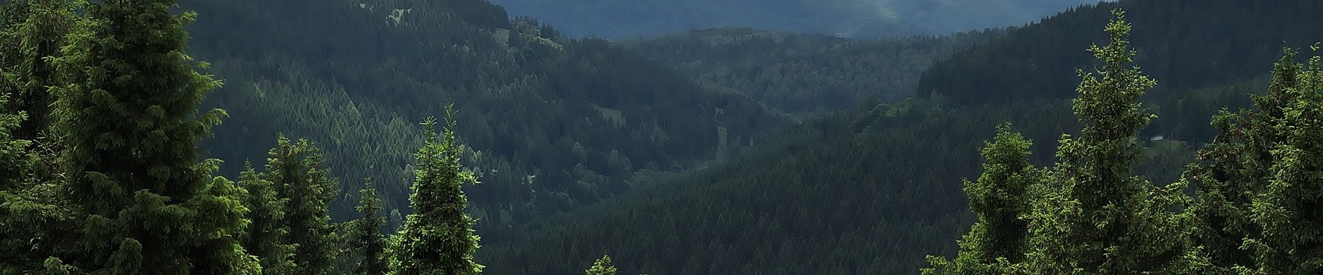 AWO Sano Thüringer Wald von einer Drone fotografiert